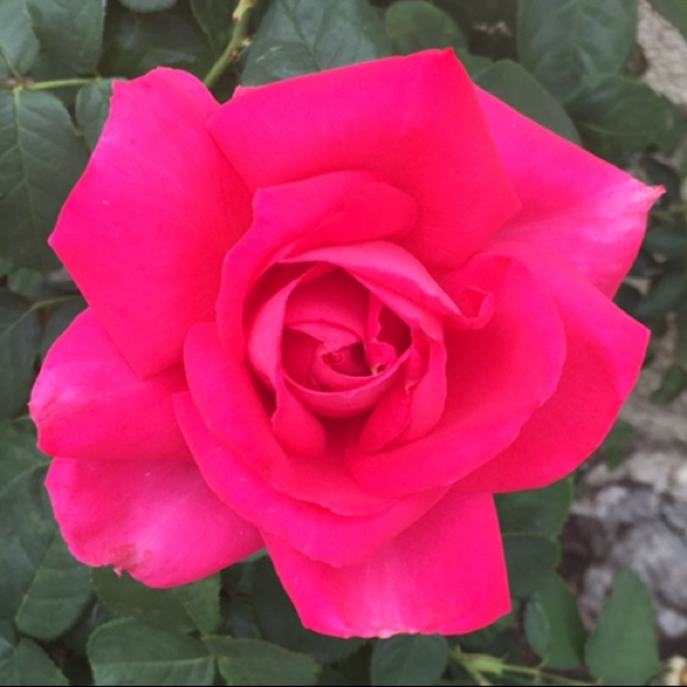 Meet your Posher/RE: Vacation Hold